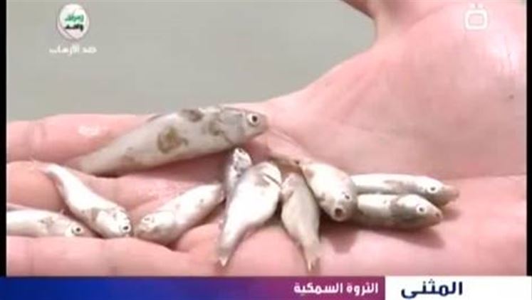 Alsumaria Episodes