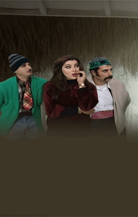 عش المجانين