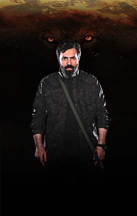 الهيبة الرد