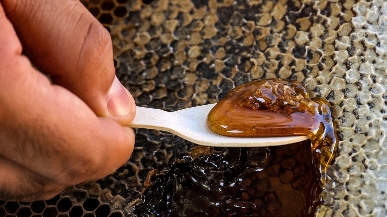 متى يتحول العسل إلى خطر مميت؟